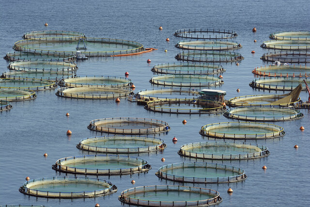 FISA fish farming netting - picture 1